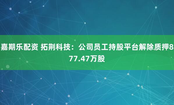 嘉期乐配资 拓荆科技：公司员工持股平台解除质押877.47万股